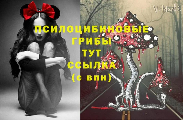 mdpv Волоколамск