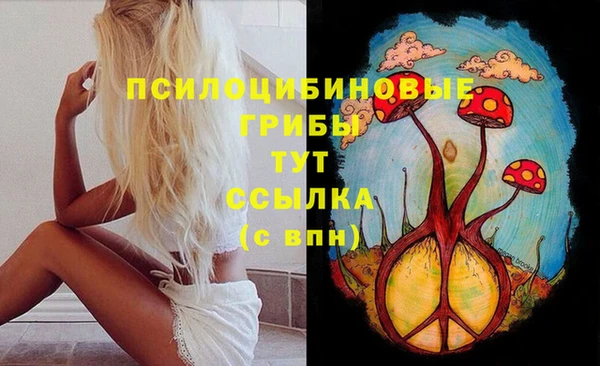 mdpv Волоколамск
