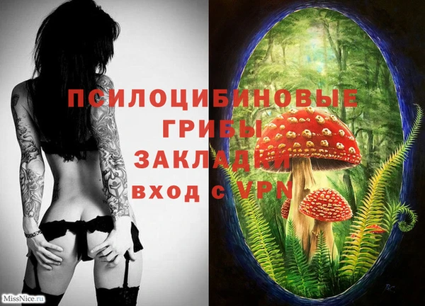 гидропоника Володарск