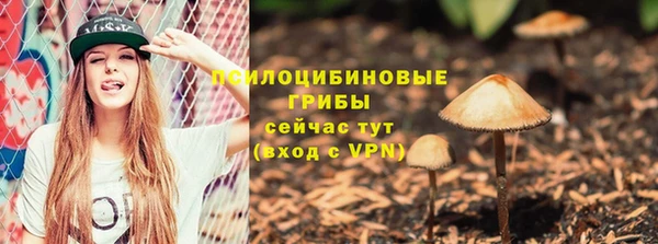 mdpv Волоколамск