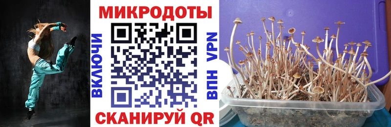 как найти закладки Славянск-на-Кубани Псилоцибиновые грибы мицелий