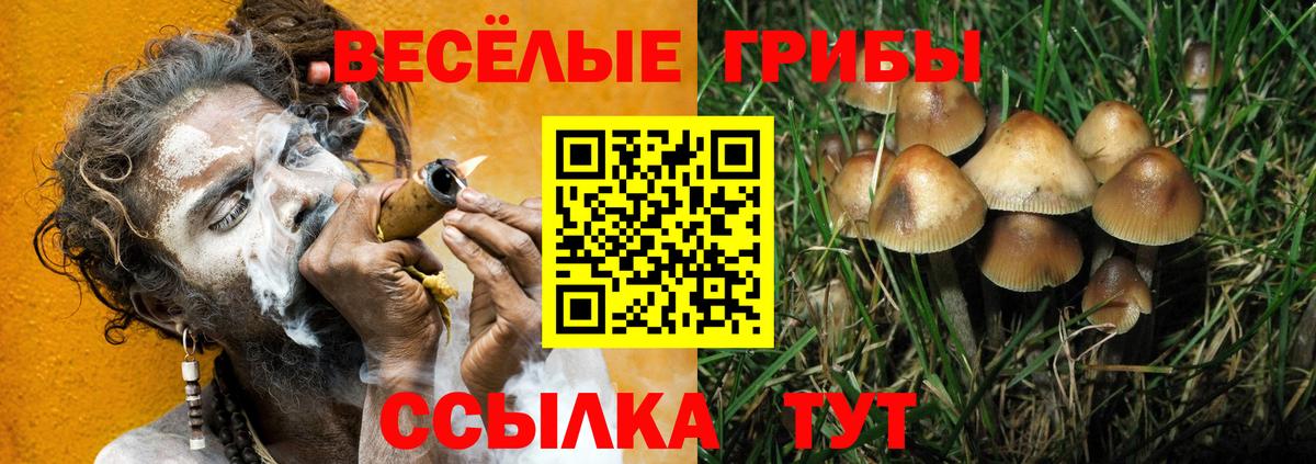 наркошоп  Галлюциногенные грибы MAGIC MUSHROOMS  Вход с VPN  Славянск-на-Кубани 
