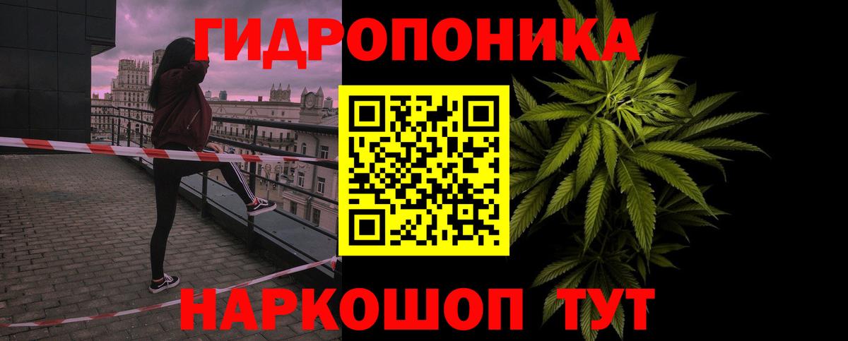 Бошки Шишки Ganja  Канабис сатива  Вход с VPN  Славянск-на-Кубани  Каннабис VHQ 